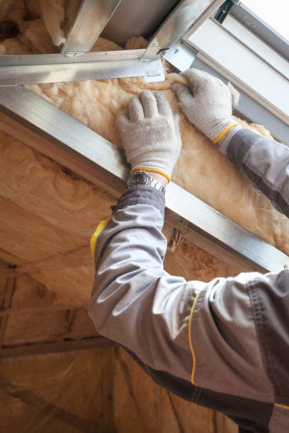 Best Spray Foam Insulation  in Dillon, MT