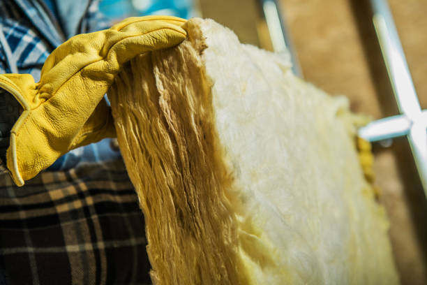 Best Best Insulation Companies  in Dillon, MT