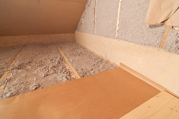 Best Insulation Repair Services  in Dillon, MT